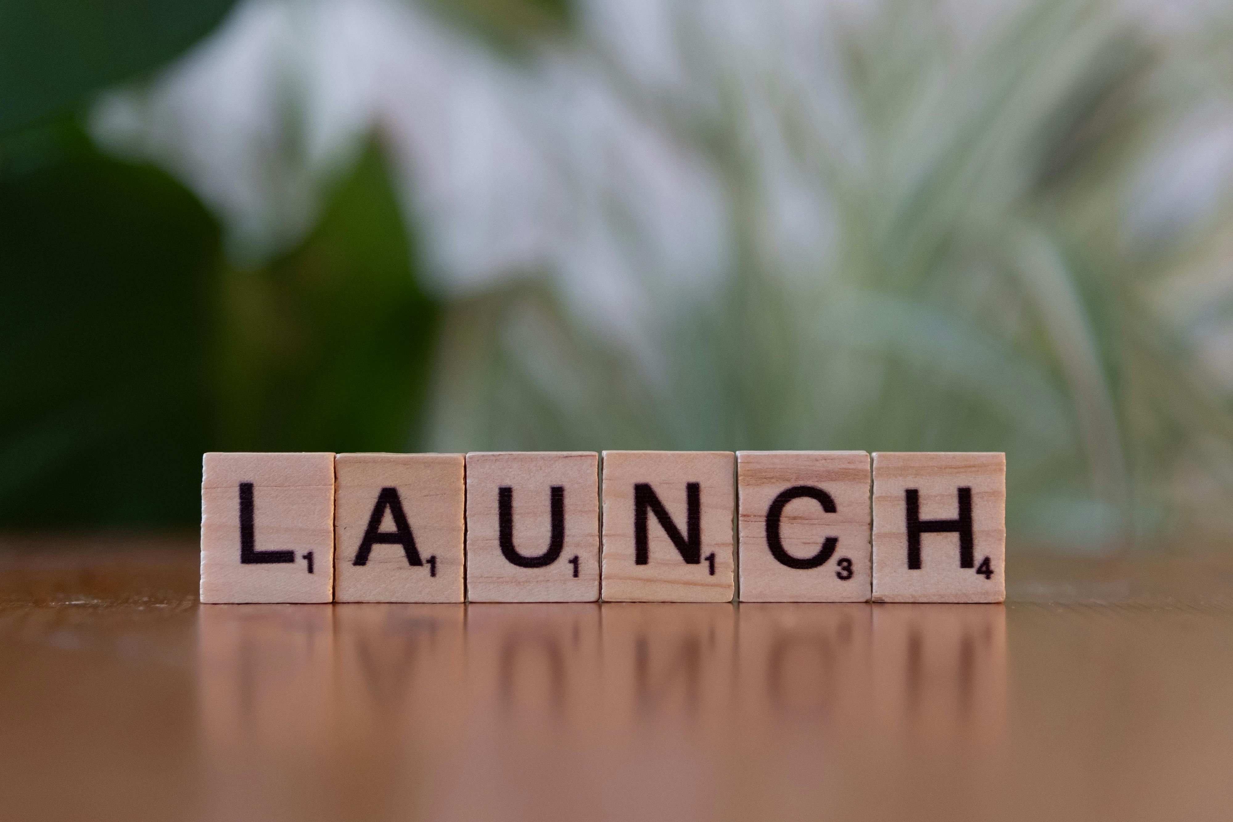 Go-to-Market & Launch Strategy